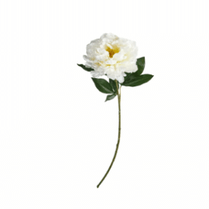 Pion 78cm