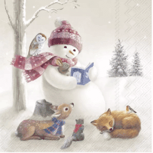 Lunsj Serviett Bedtime Stories