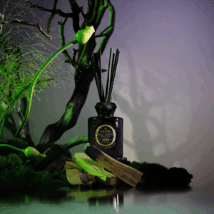 Duftpinner 100ml, Palo santo Spells