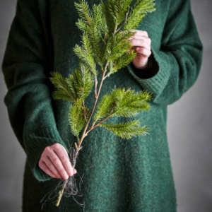 Dekorativ gren furugrønn