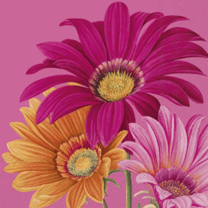 KAFFE SERVIETT JOYFUL GERBERA PINK, Sommer