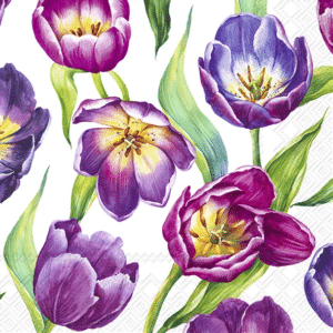 Cocktailservietter, Tulip Meadow White,vår