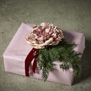 Peon Liten Uten Stilk Rosa