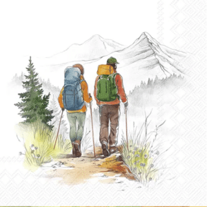 Lunsj Serviett Hiking, Helår