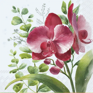 Lunsj Serviett Ruby Orchid Light Blue, Helår