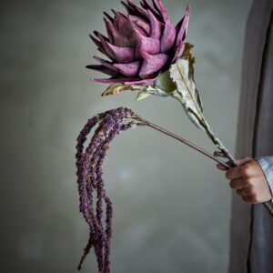 Revehale stilk,  Brun 91H