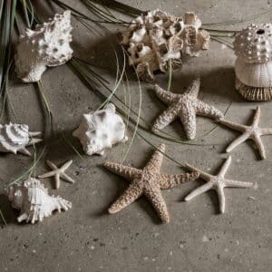 Sjøstjerne s/3 11x11cm Polyresin