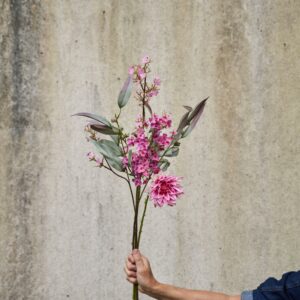 Mini orkidegren Rosa 52cm