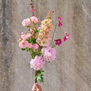 Althaea rosestilk 85 cm
