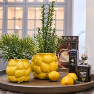 Blomsterpotte sitron D16x14cm keramikk