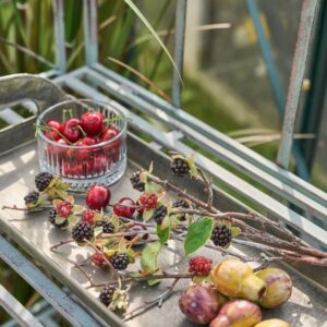 Kirsebær Polyresin pr. stk 2,5cm