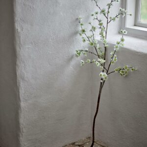 Eplegren, Hvit, H152