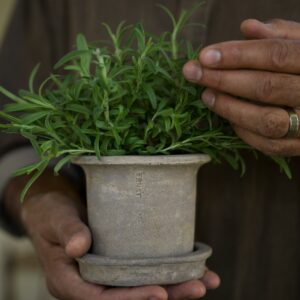 Terrakottapotte med skål ø12 h10 cm